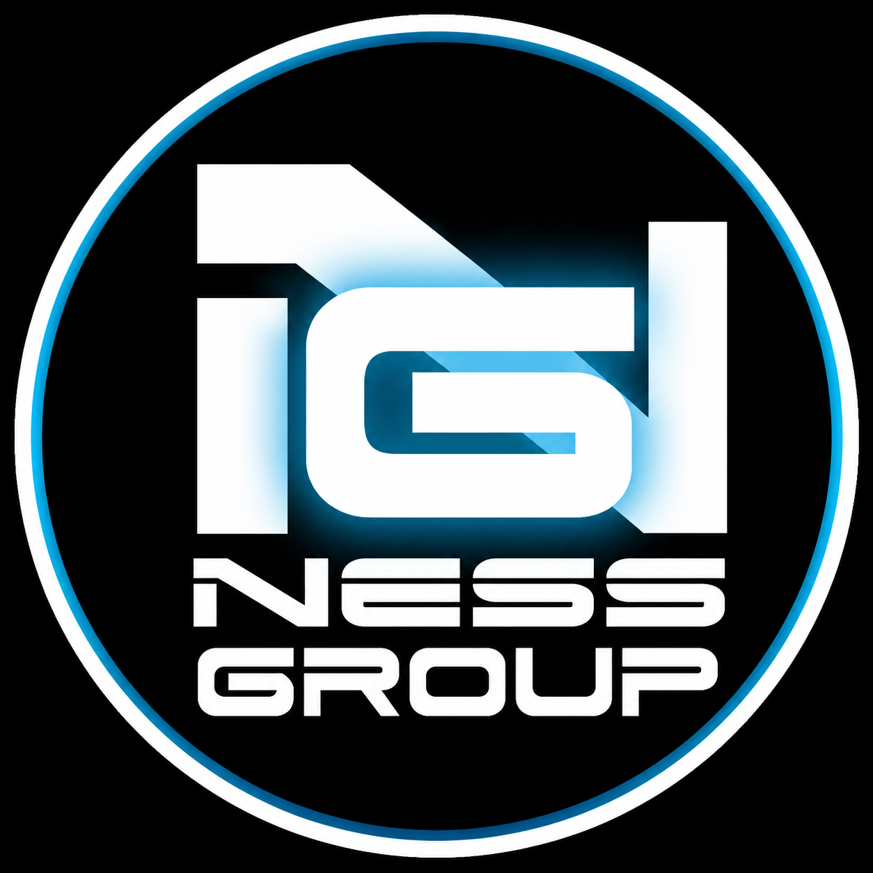 Logo NESS Servicios Demo S.A.